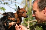 PINSCHER NAIN 155